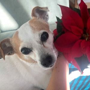 Meet your Posher, Martha